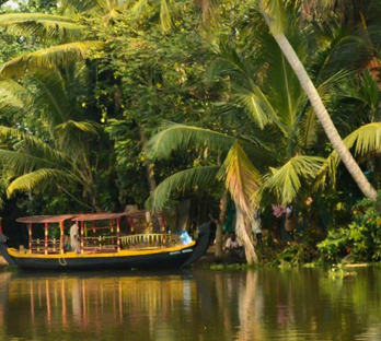 Hills and Backwaters of Kerala